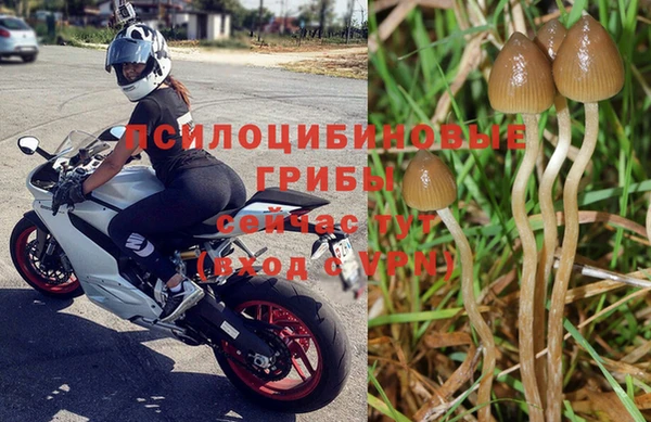 спайс Аркадак